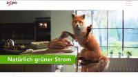 Auschnitt Axpo Homepage mit Fuchs und: Natürlich grüner Strom